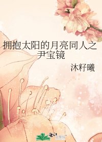 拥抱太阳的月亮同人之尹宝镜