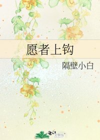 《愿者上钩》
