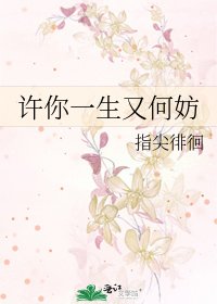 《許你一生又何妨》