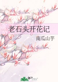 《老石头开花记》
