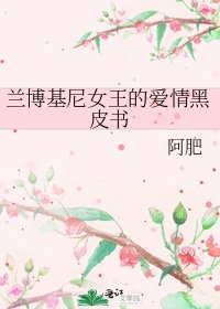 兰博基尼女王的爱情黑皮书
