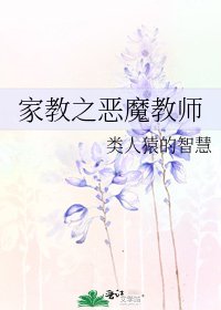 《家教之恶魔教师》