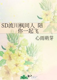 SD流川枫同人 陪你一起飞