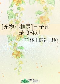 [宠物小精灵]日子还是照样过