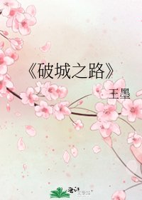 《破城之路》
