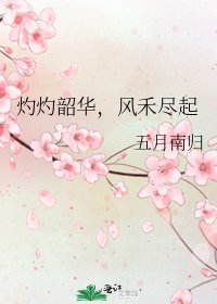 灼灼韶华，风禾尽起
