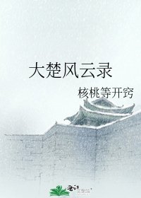 《大楚风云录》