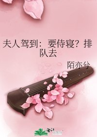 夫人驾到：要侍寝？排队去