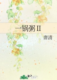 一鍋粥Ⅱ