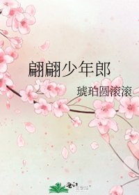 《翩翩少年郎》