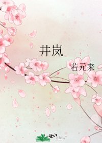 《井岚》