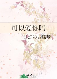 可以爱你吗