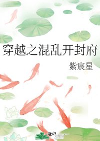 穿越之混乱开封府