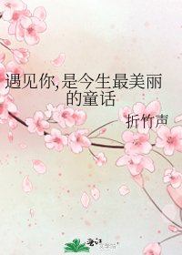 《遇见你,是今生最美丽的童话》