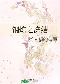 《钢炼之冻结》