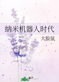 《纳米机器人时代》