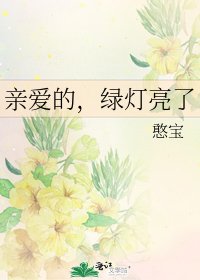 《亲爱的,绿灯亮了》