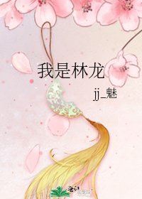 《我是林龍》