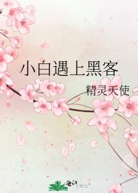 小白遇上黑客