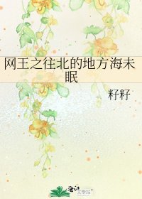 《網王之往北的地方海未眠》