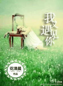一见倾心,一生不离/我又遇见你
