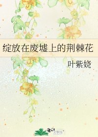 綻放在廢墟上的荊棘花