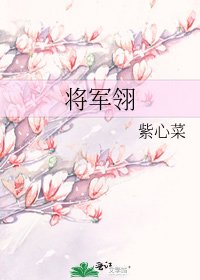 《将军翎》