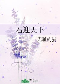 《君迎天下》