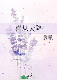 《喜从天降》