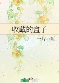 《收藏的盒子》