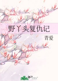 野丫頭復仇記