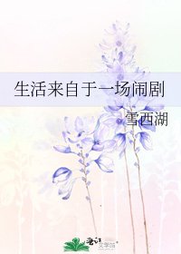 《生活来自于一场闹剧》