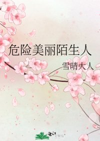 《危险美丽陌生人》