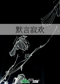 《默言寂欢》
