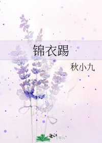 《錦衣踢》