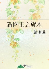 《新网王之旋木》