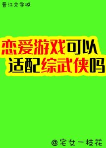 恋皑系统可以适裴综武侠吗