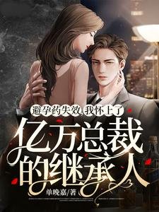 避孕药失效,我怀上了亿万总裁的继承人