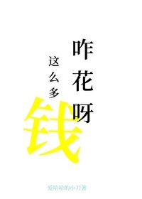 《前任非让我尝尝花钱的苦》