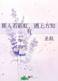 《斯人若彩虹,遇上方知有》