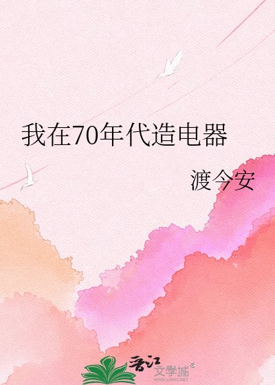 《我在70年代造电器》