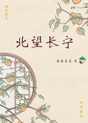 北望长宁