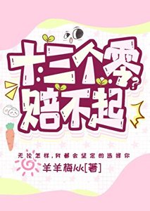 《十三个零?赔不起》