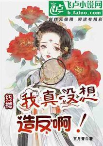 红楼:我真没想造反啊