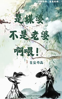 《是媒婆不是老婆啊喂!》