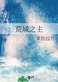 《荒域之主》