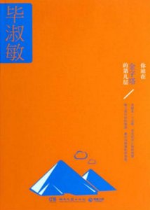 你站在金字塔的第几层(出版书)