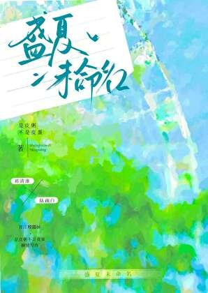 《盛夏未命名》