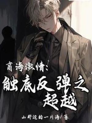 《商海激情:触底反弹之超越》