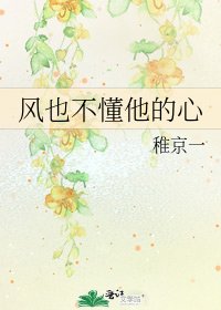 风也不懂他的心